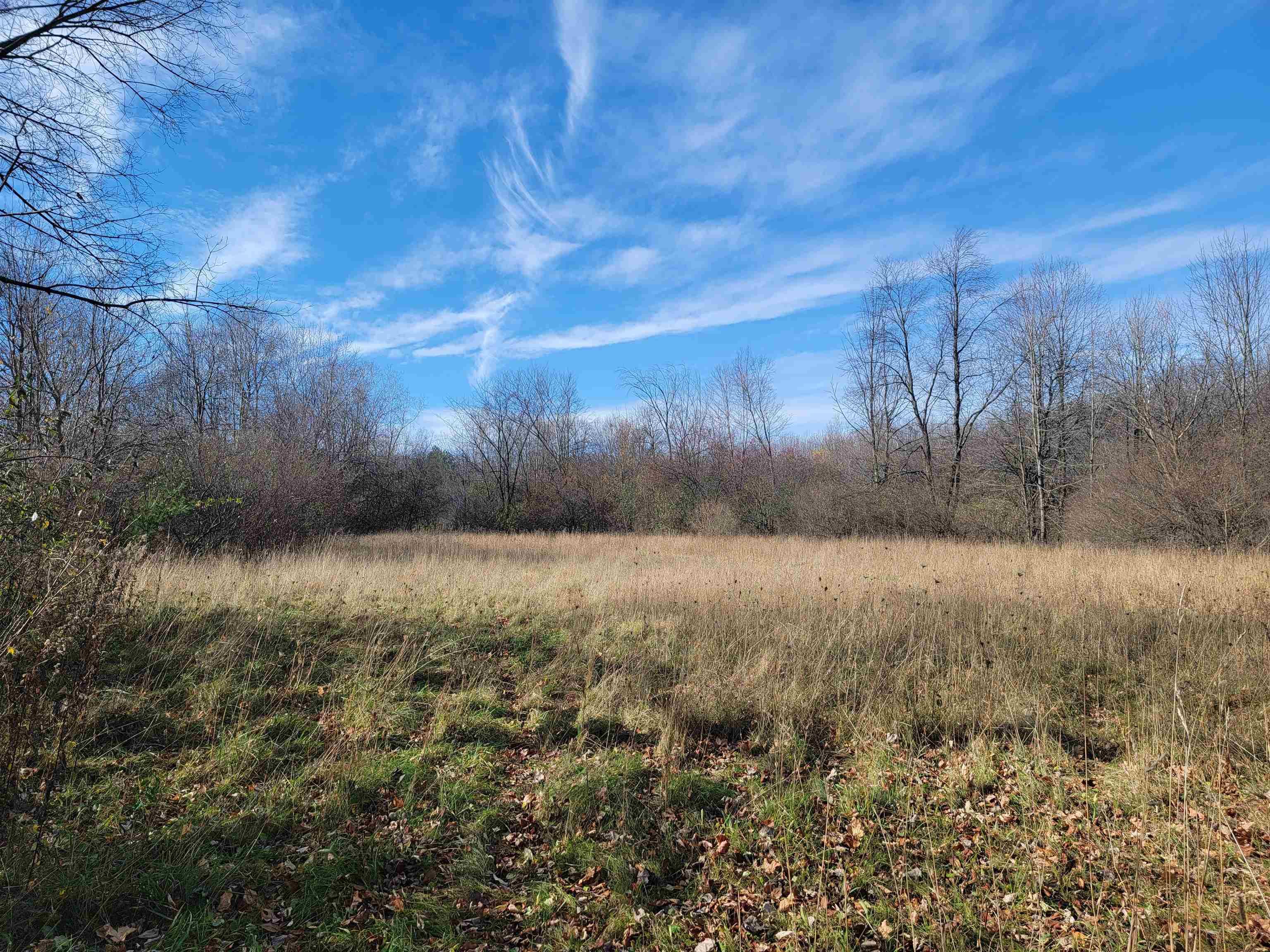 5185 North Center Road Flint, MI 48506 - Photo 54 of 65 50095246-53.JPG