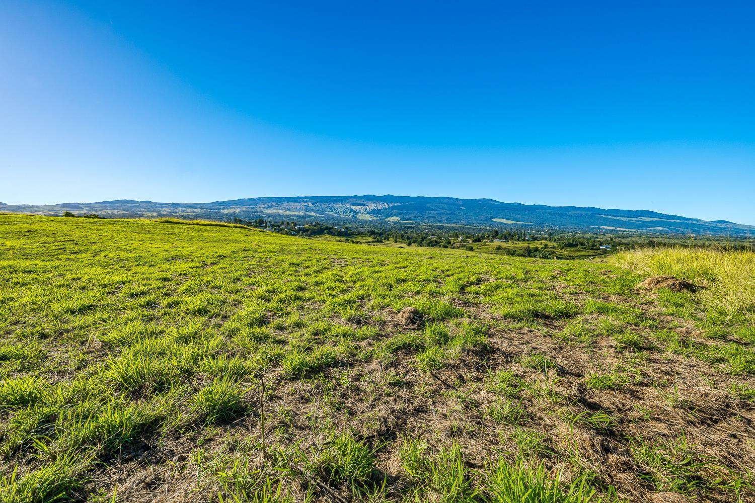 240 Kula Io Road Kula, HI 96790 - Photo 7 of 26