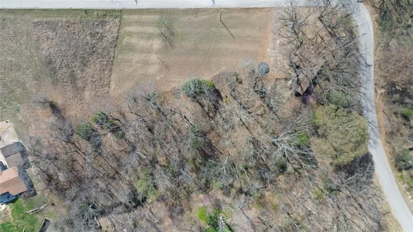 a view of a dry yard