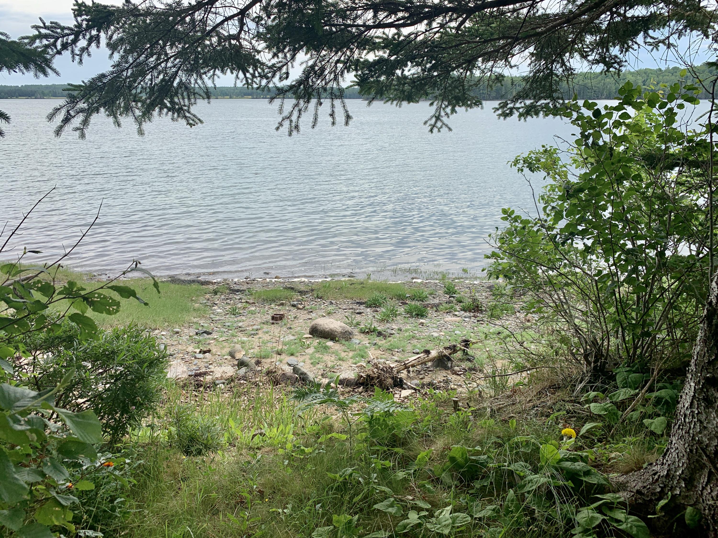 255 Garnet Head Road Pembroke, ME 04666 - Photo 82 of 104 IMG_0226 2