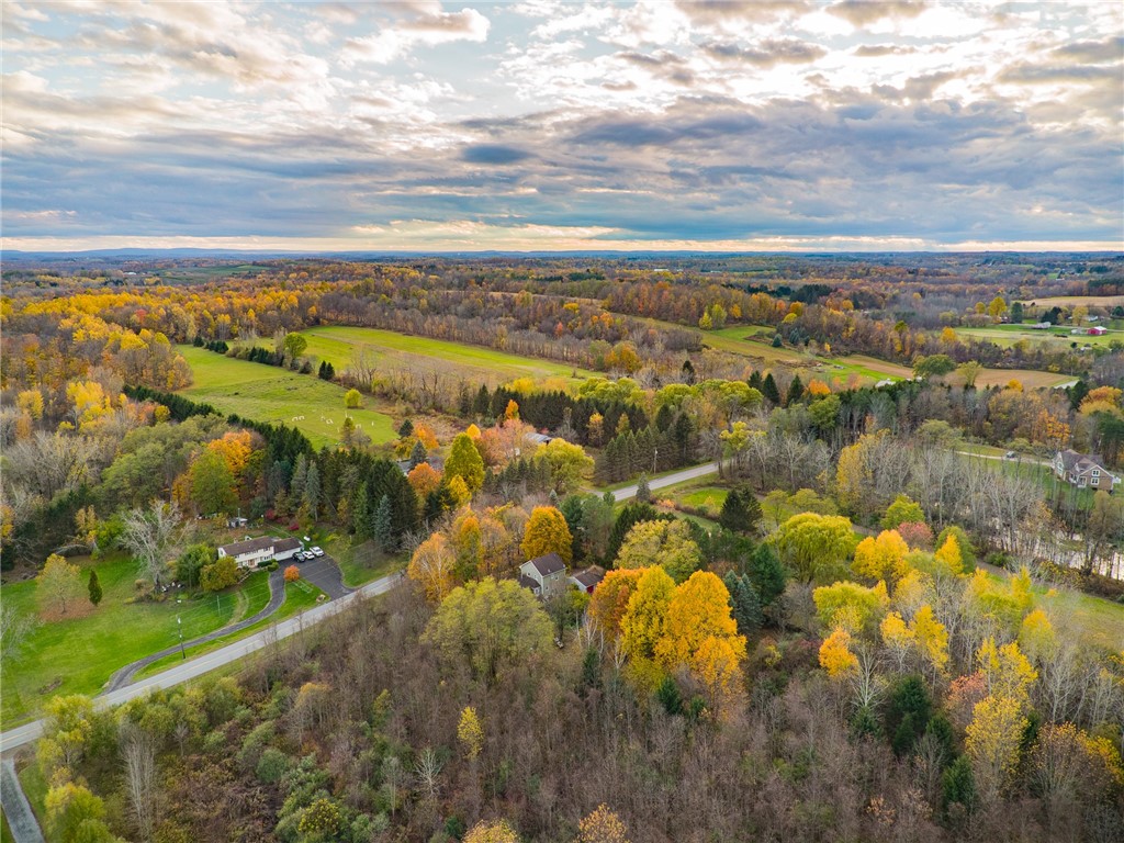 3335 Gildersleeve Road Marion, NY 14505 - Photo 11 of 11 The beauty of rural WAYNE COUNTY!