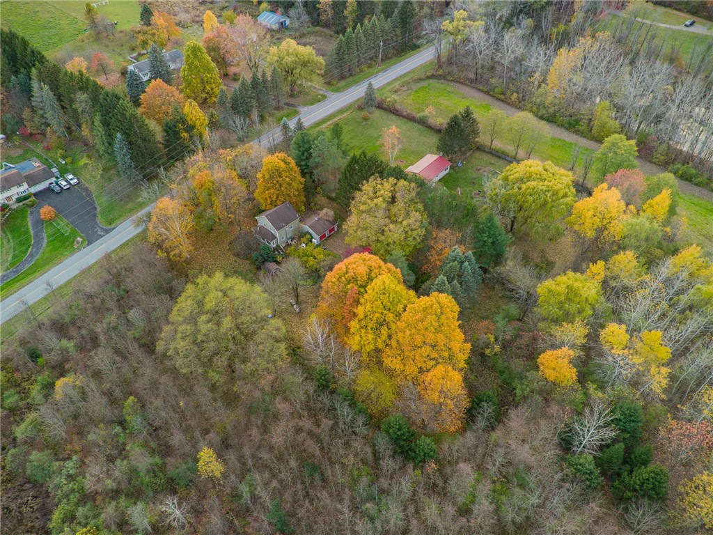 3335 Gildersleeve Road Marion, NY 14505 - Photo 8 of 11 A view of the wooded lot