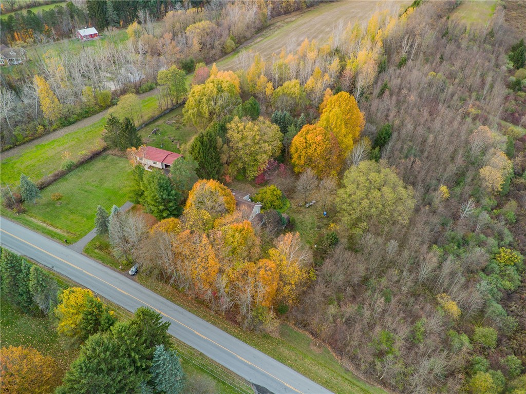 3335 Gildersleeve Road Marion, NY 14505 - Photo 9 of 11 Tucked away on a wooded lot