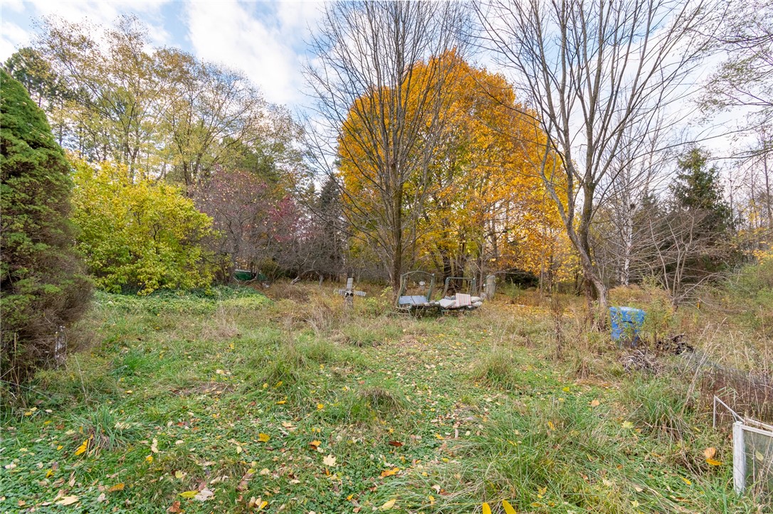 3335 Gildersleeve Road Marion, NY 14505 - Photo 10 of 11 Great yard! Lots of room to roam!