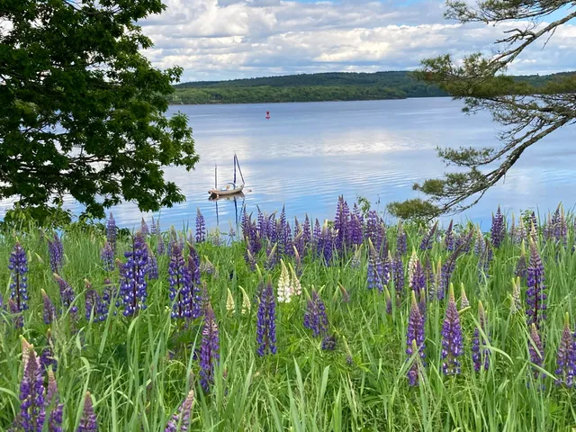 $829,000 | 22 Bayview Drive, Stockton Springs, ME 04981