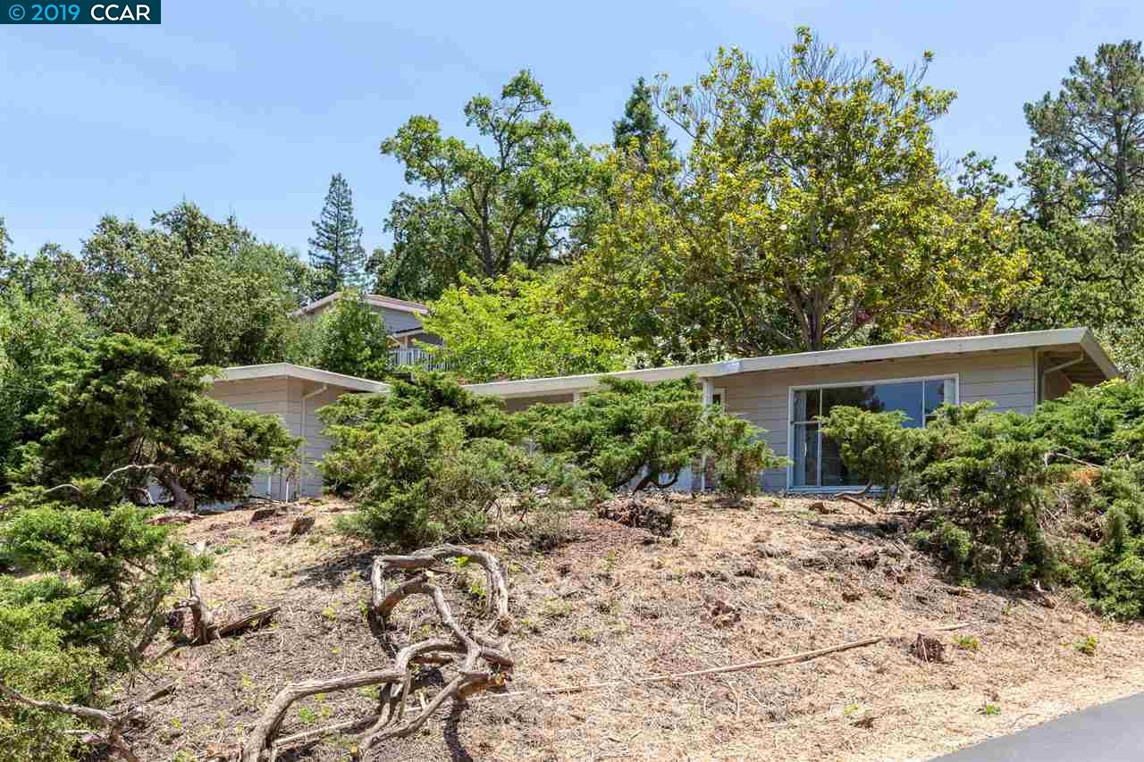 3419 St Marys Road Lafayette, CA 94549 - Photo 1 of 1 a view of a garden with potted plants and large trees