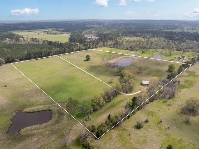 a view of a swimming pool and an ocean view
