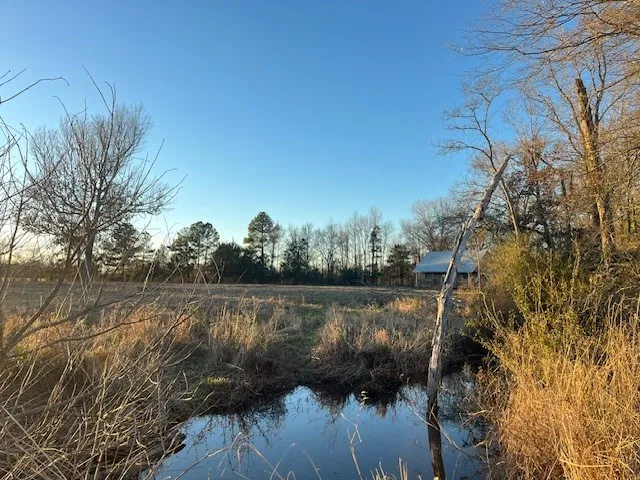 a view of lake with green space