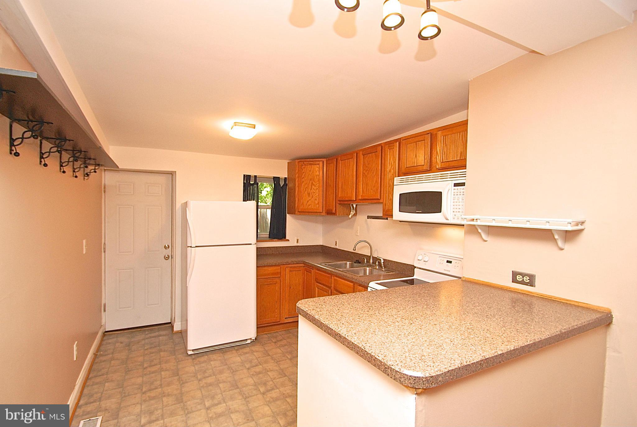 1012 South Paca Street Baltimore, MD 21230 - Photo 3 of 24 Kitchen