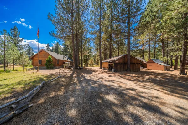 a wooden house with tall trees