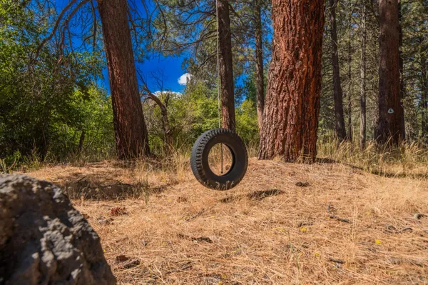 a backyard of a house with a tree covered by side of the road