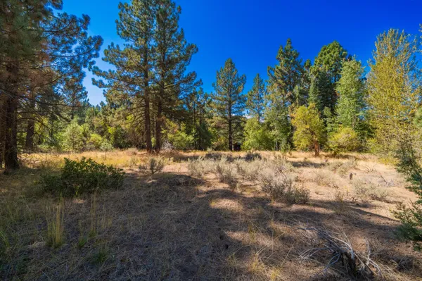 a view of yard covered with green space