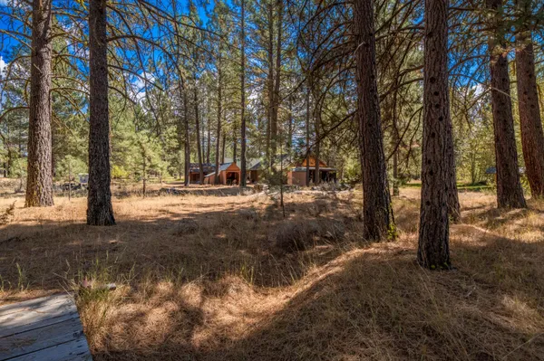 a view of a yard with a tree