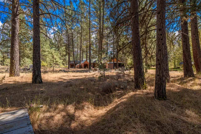 a view of a yard with a tree