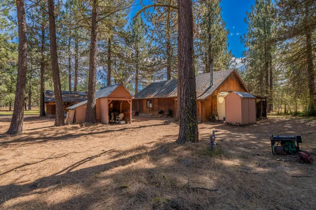 a house with trees in front of it