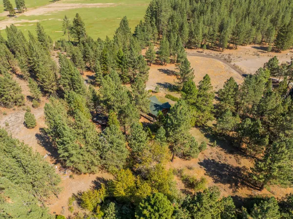 a view of a yard with a tree