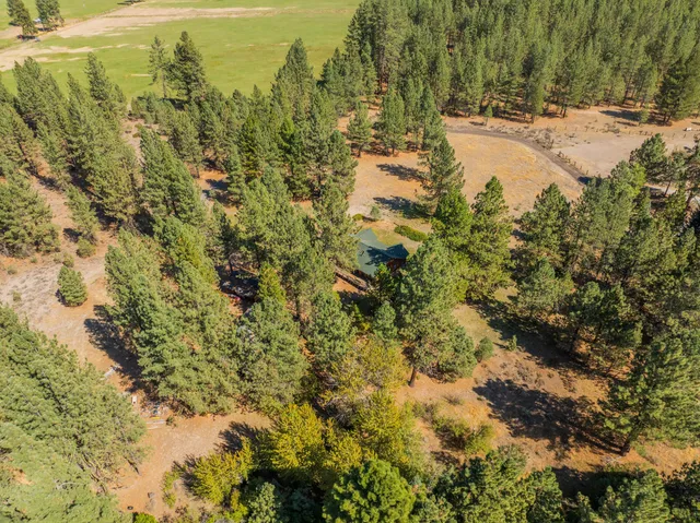 a view of a yard with a tree