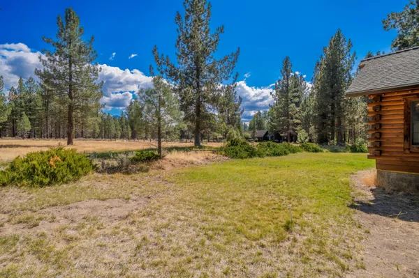 a view of yard with tree