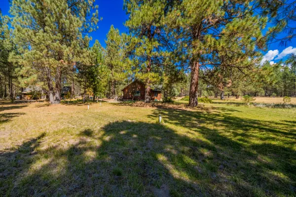 a view of a yard with plants and trees