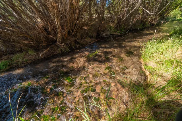 $499,000 | 12792 Clearbrook Drive, Old Station, CA 96071