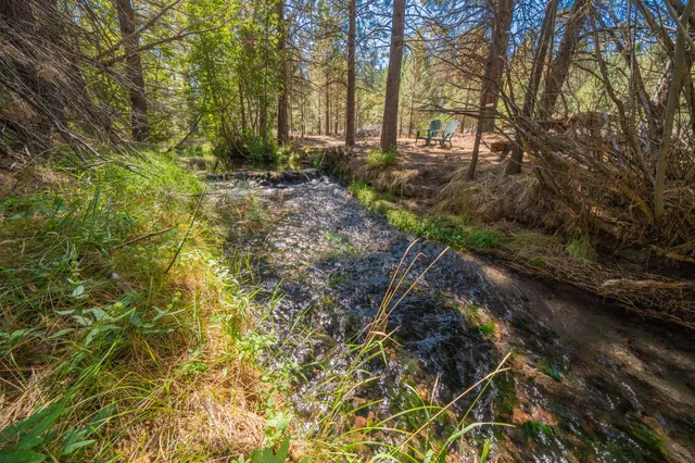 a view of backyard with green space