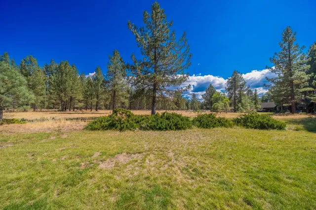 a view of a yard with a house