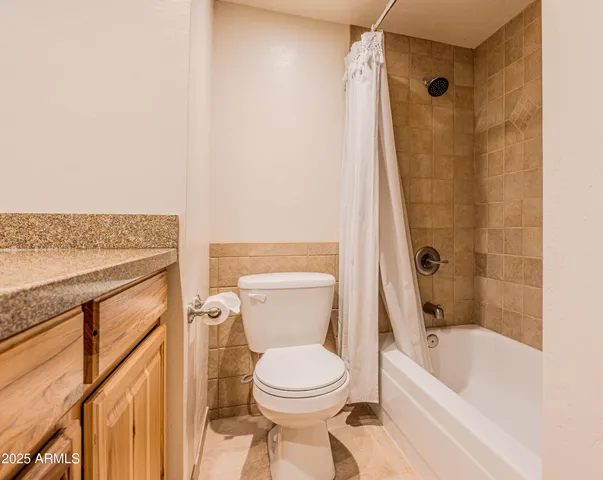 a bathroom with a toilet and a bathtub