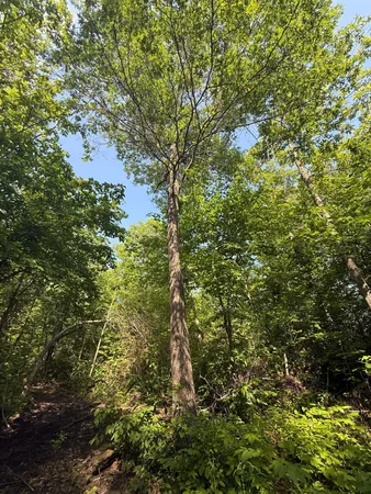 $180,000 | Tbd Tbd Catherine Lane, Waubun, MN 56589