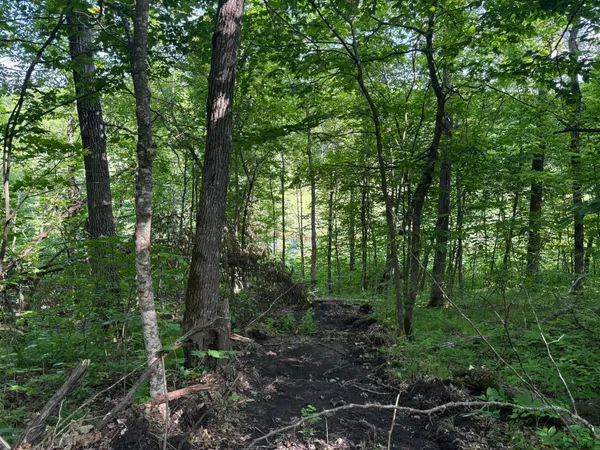 $180,000 | Tbd Tbd Catherine Lane, Waubun, MN 56589