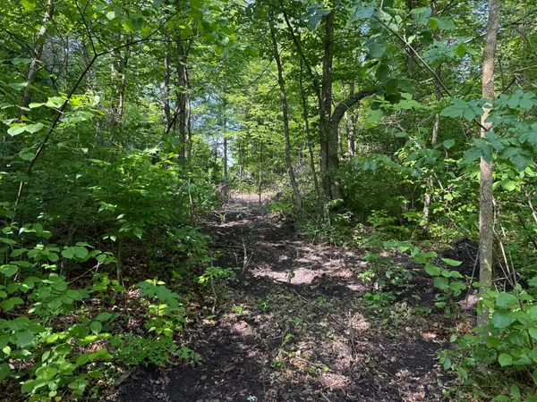 $180,000 | Tbd Tbd Catherine Lane, Waubun, MN 56589