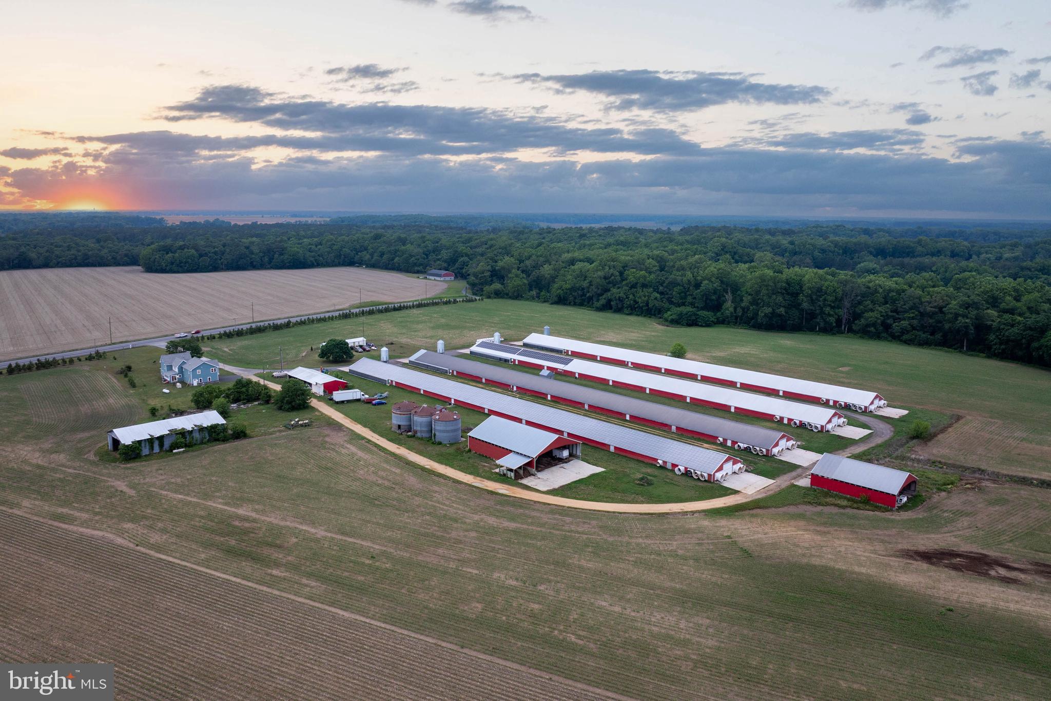 7347 Harmony Road Preston, MD 21655 - Photo 7 of 63 Aerial View of Farm & House