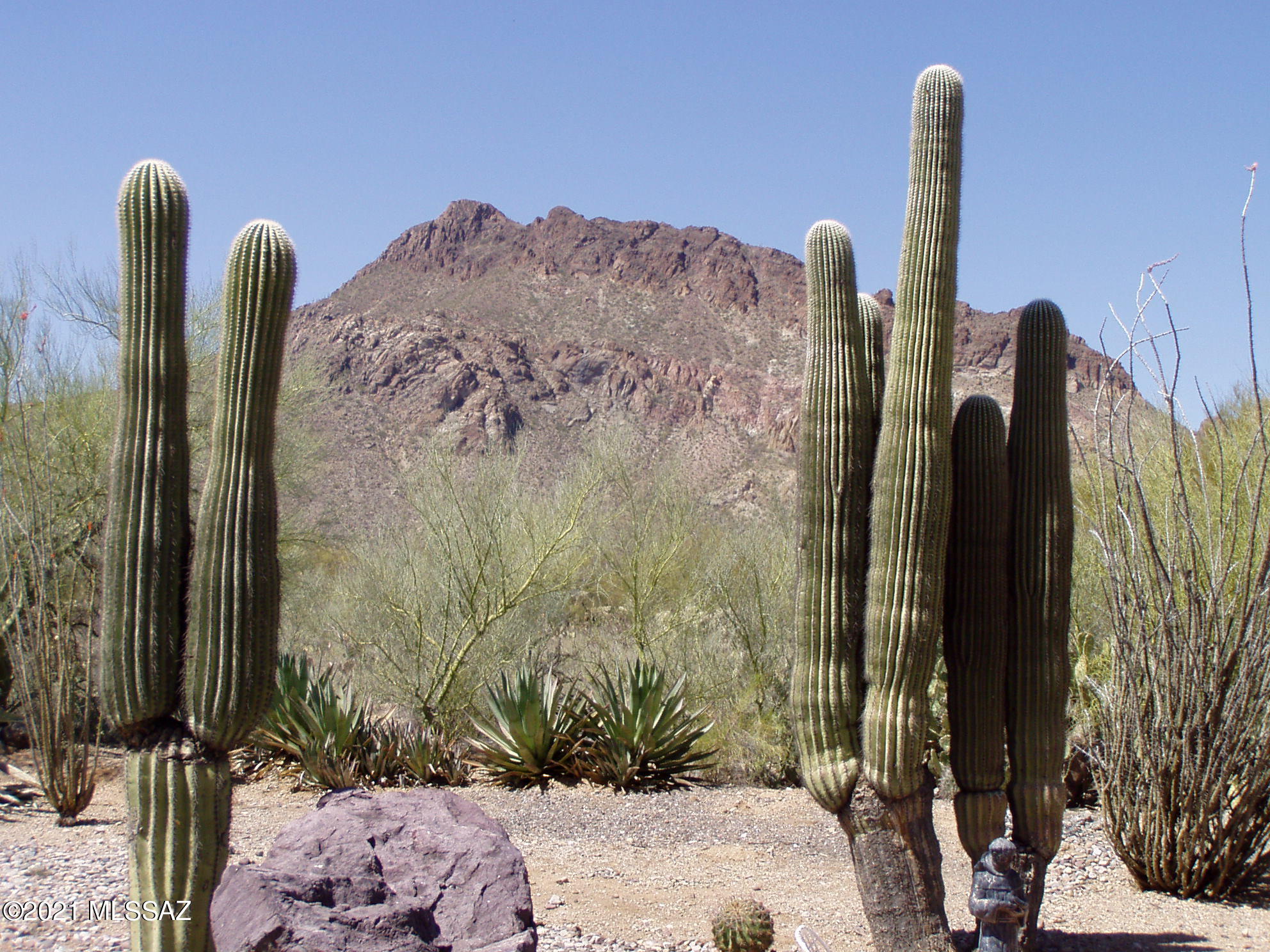 6132 West Rafter Cir Street Tucson, AZ 85713 - Photo 3 of 37 Gallery Image 3