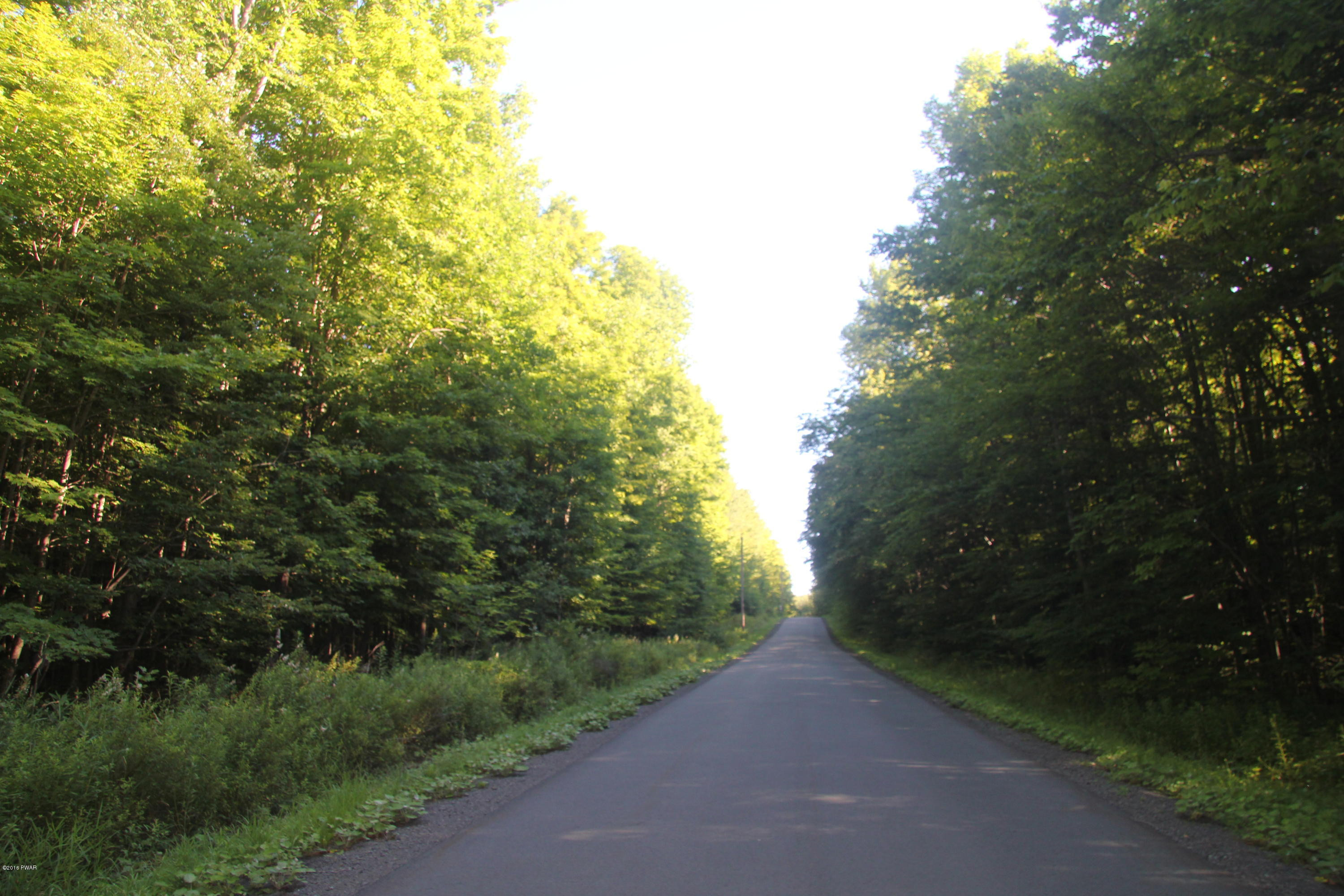 Winship Road Moscow, PA 18444 - Photo 6 of 8