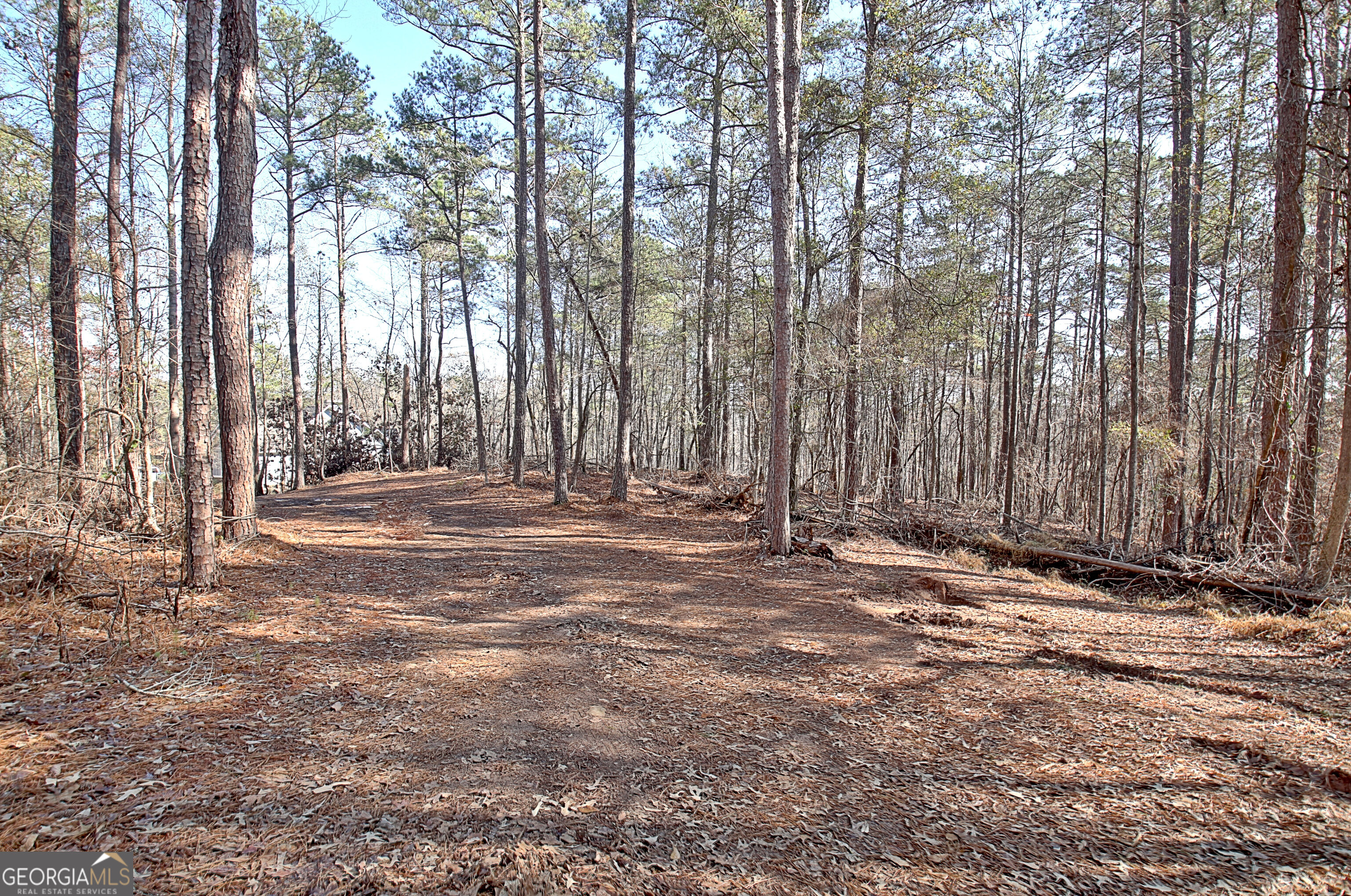 12 North Alexander Creek Road Palmetto, GA 30268 - Photo 80 of 85