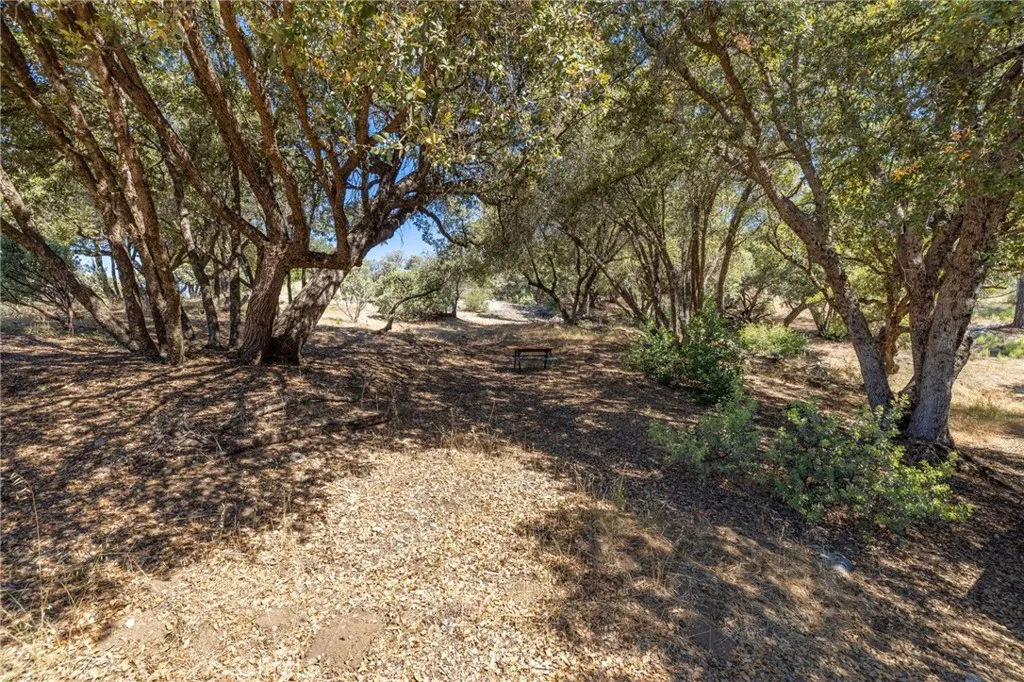 49 Old Yosemite Road Oakhurst, CA 93644 - Photo 4 of 41