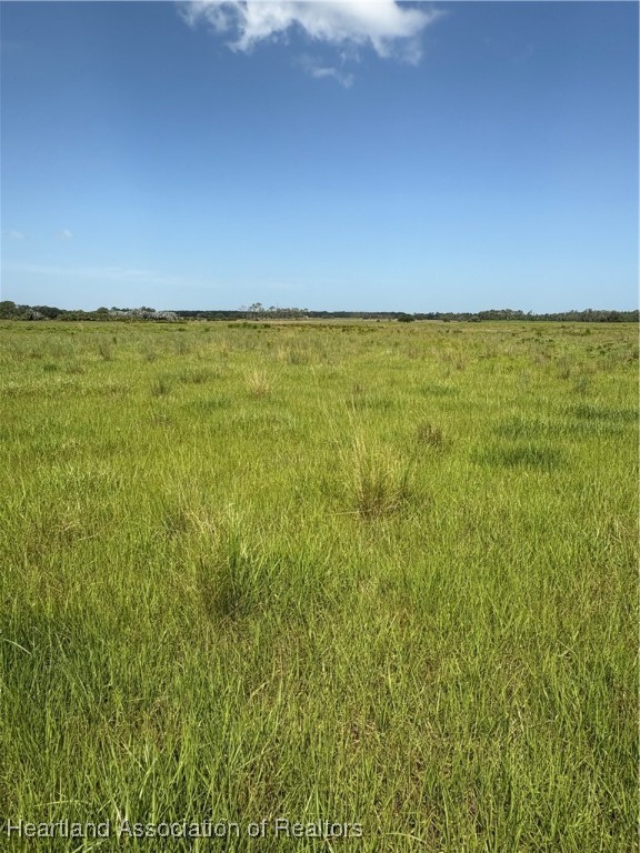 1001 Cattle Ranch Road Venus, FL 33960 - Photo 5 of 5