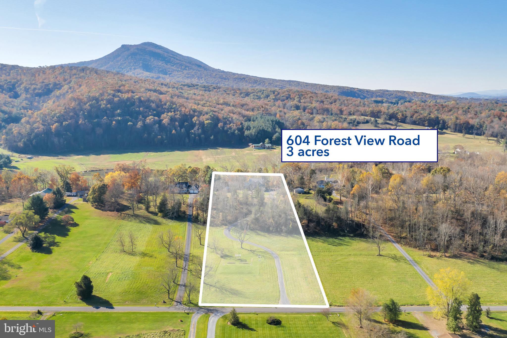 604 Forest View Road Edinburg, VA 22824 - Photo 30 of 53 Property is 3.5 acres