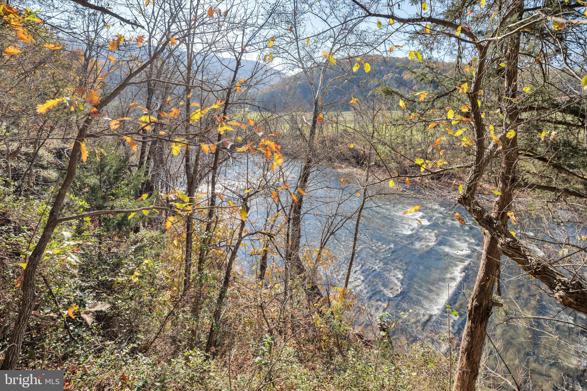 604 Forest View Road Edinburg, VA 22824 - Photo 6 of 53 View of the North Fork of the Shenandoah