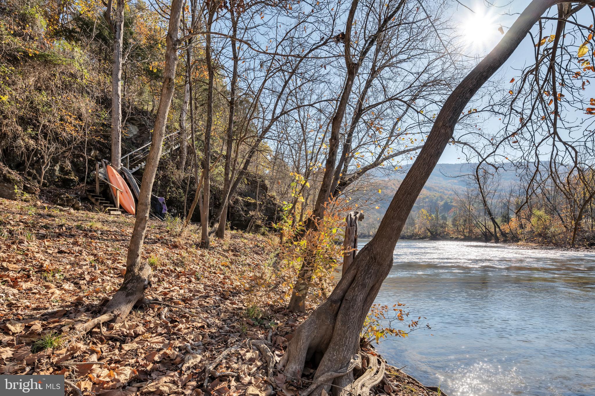 604 Forest View Road Edinburg, VA 22824 - Photo 8 of 53 Level area to enjoy the River!