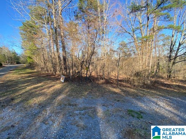 619 Ridge View Drive, Unit 5 ACRES Trussville, AL 35173 - Photo 4 of 20