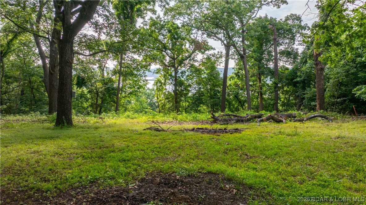 798 El Tampa Road Camdenton, MO 65020 - Photo 8 of 31