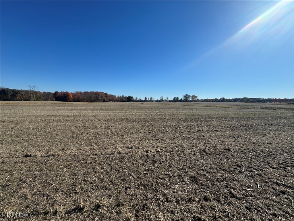 Spieth Road Medina, OH 44256 - Photo 11 of 34 View of nature with a rural view
