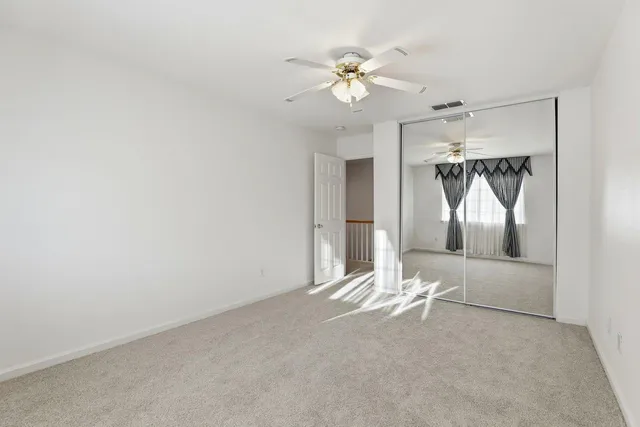 a view of a big yard with plants and large trees