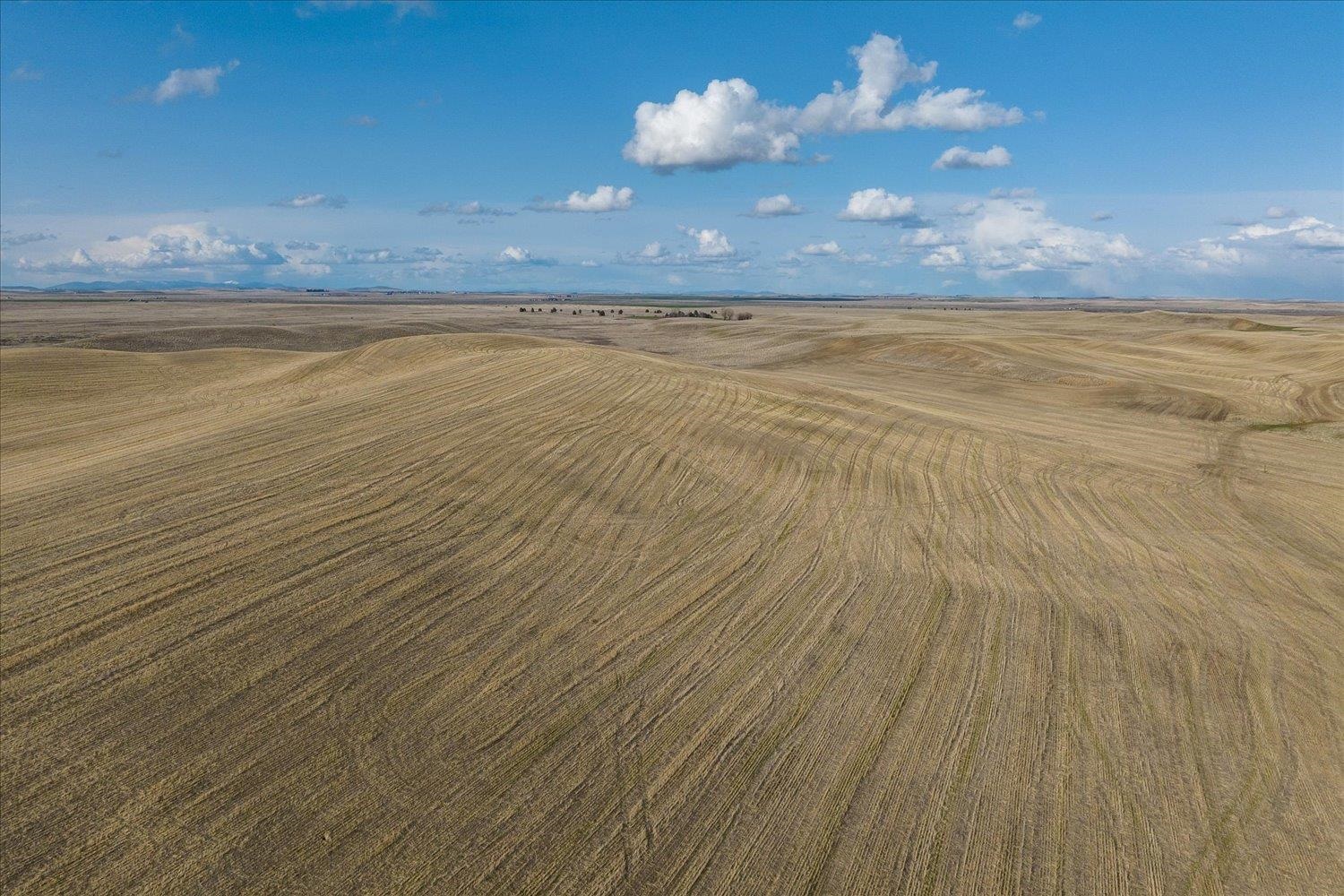 Xx North Coal Springs Road North Davenport, WA 99122 - Photo 20 of 38