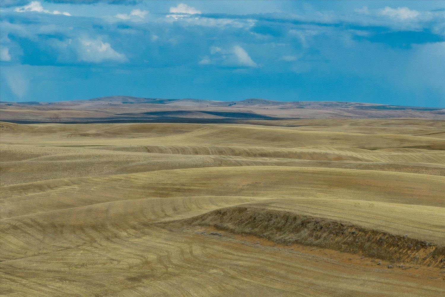 Xx North Coal Springs Road North Davenport, WA 99122 - Photo 37 of 38