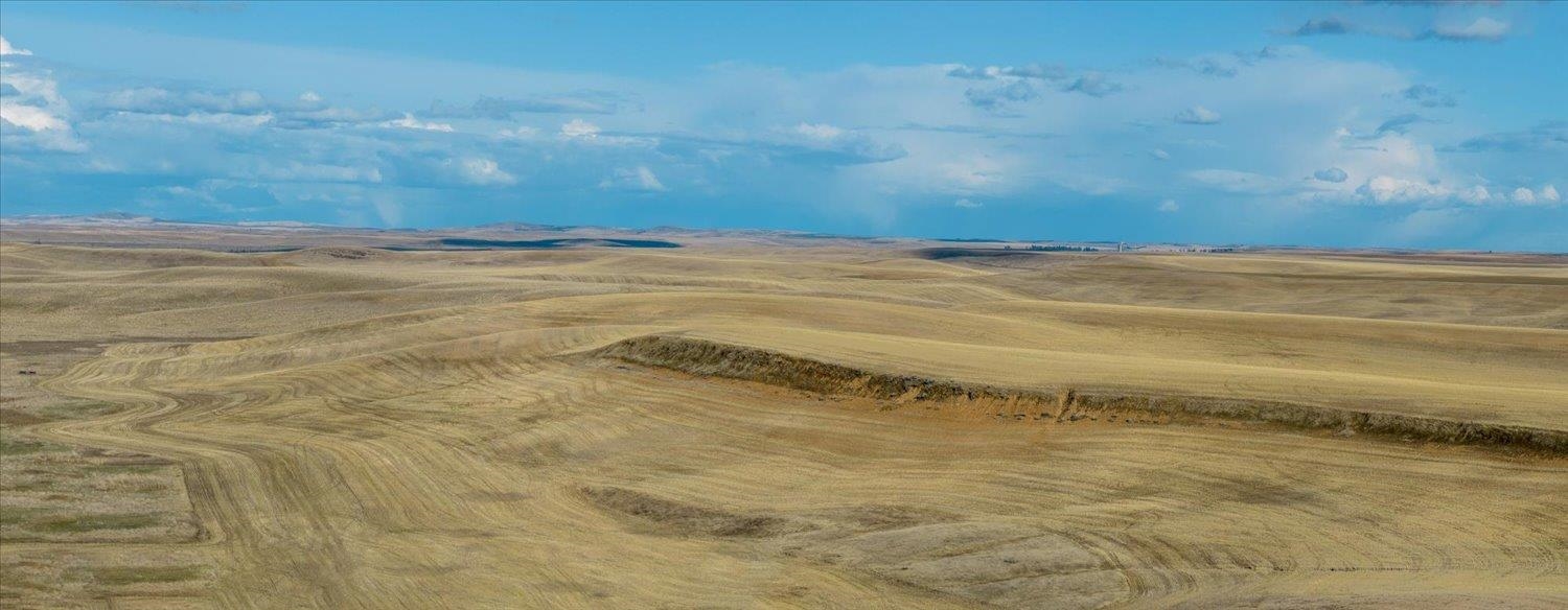 Xx North Coal Springs Road North Davenport, WA 99122 - Photo 38 of 38