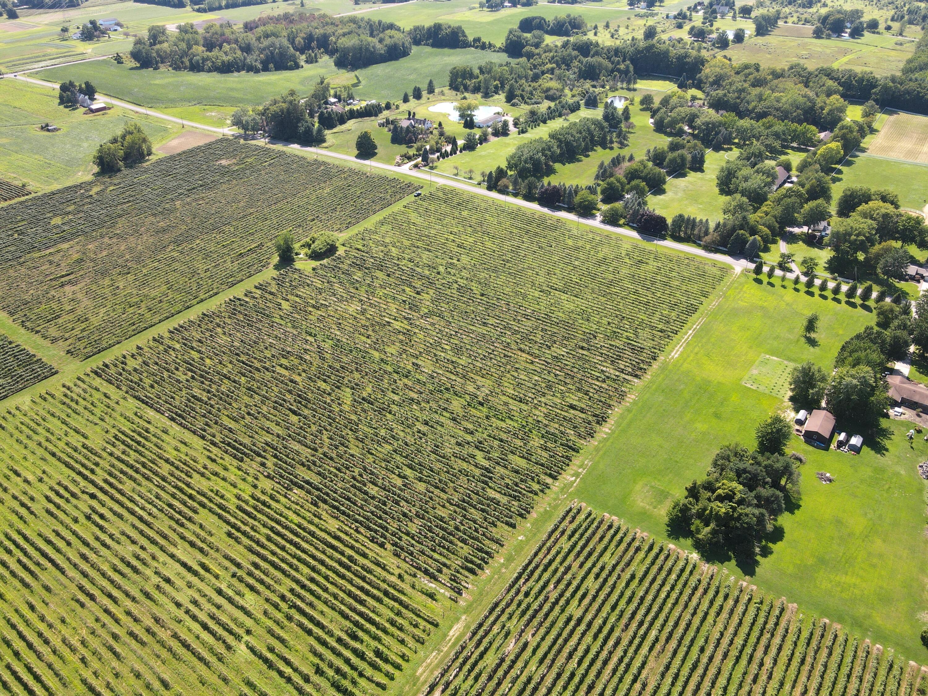 V/l Eidson Road St. Joseph, MI 49085 - Photo 11 of 21 Eidson