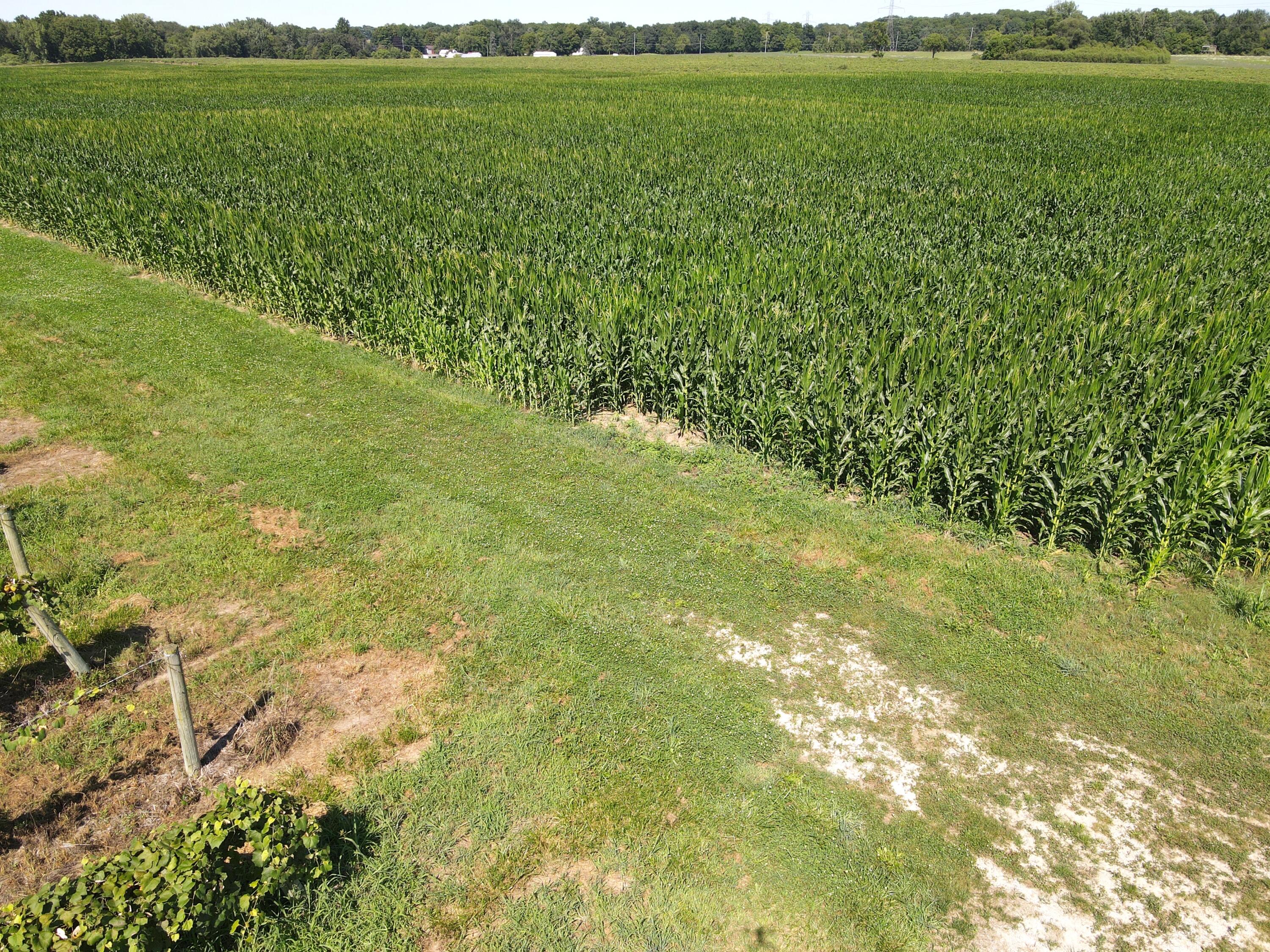 V/l Eidson Road St. Joseph, MI 49085 - Photo 19 of 21 Eidson
