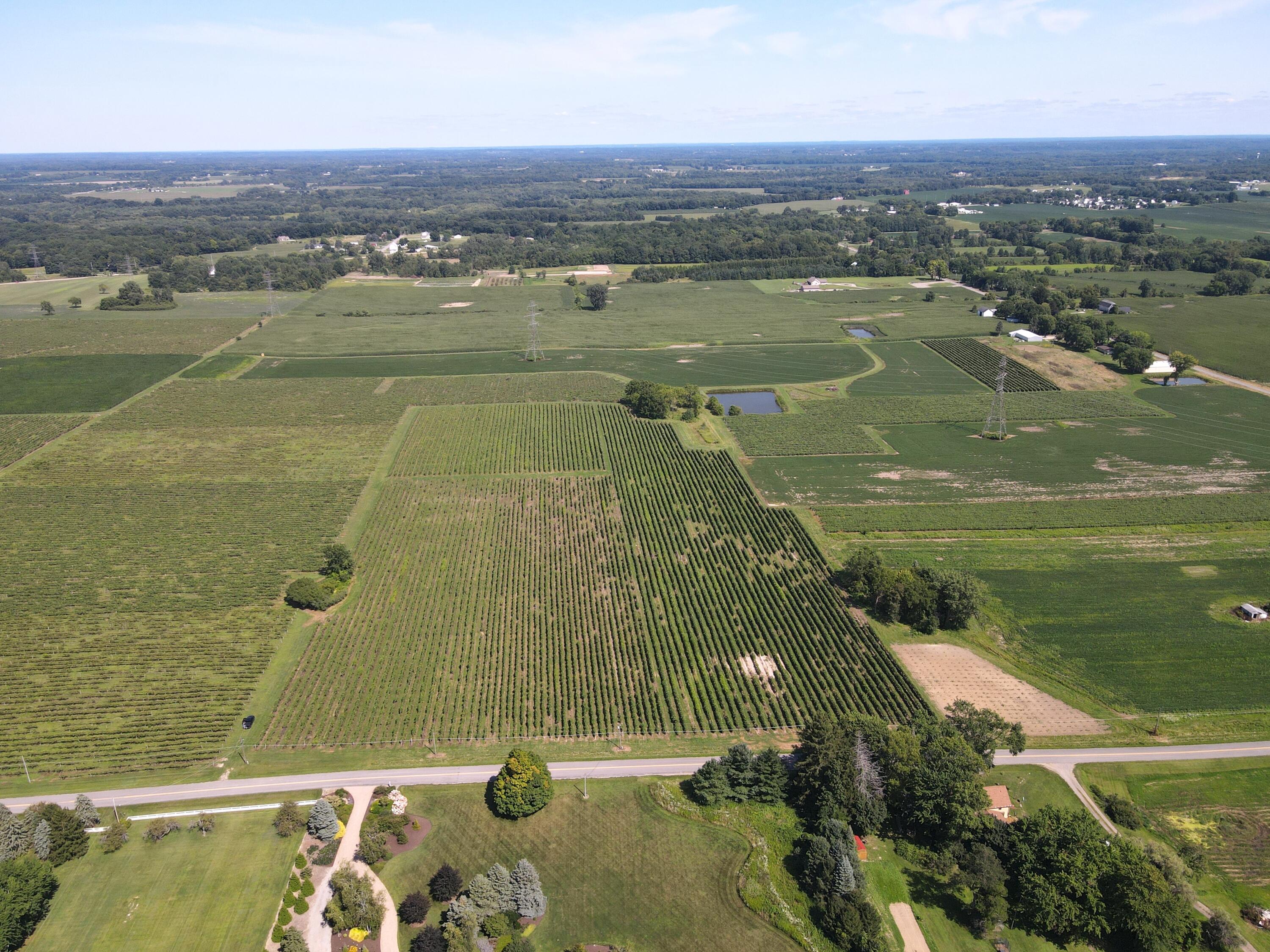 V/l Eidson Road St. Joseph, MI 49085 - Photo 4 of 21 Eidson