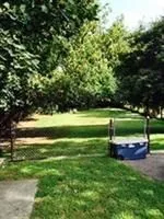 a view of outdoor space with green field and trees